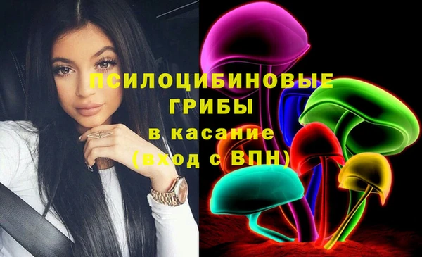 гашик Абаза