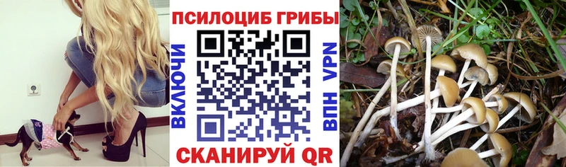 Галлюциногенные грибы ЛСД  hydra зеркало  Вытегра 